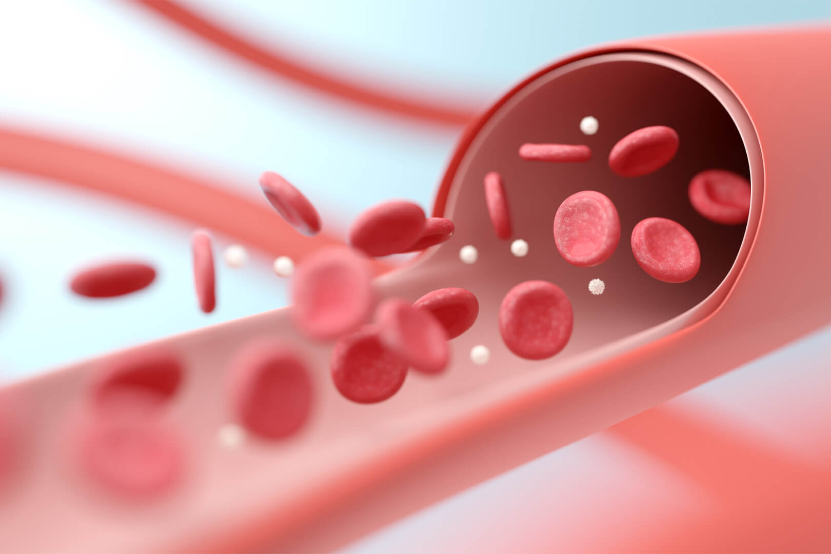 Aging Arteries and the Promise of Sirtuins