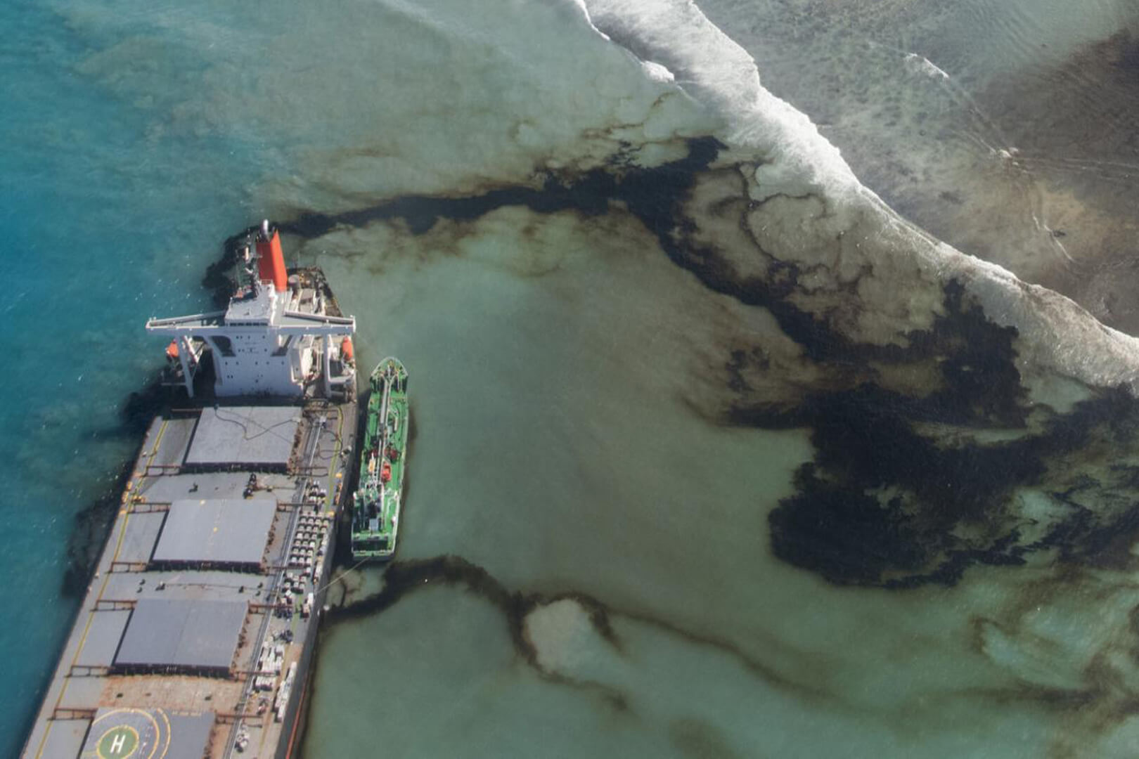 Oh My: I Spilled Oil on My Fish