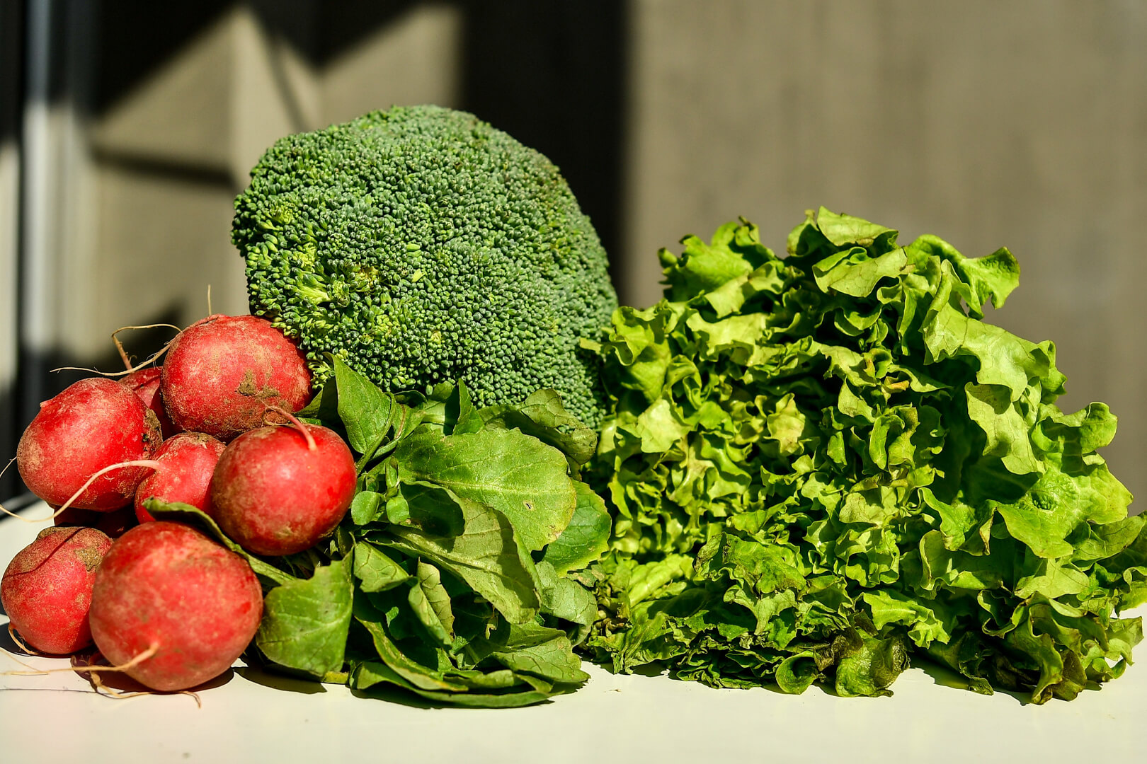 More Plants, More Vitality: A Gentle Guide to Eating Well as We Age