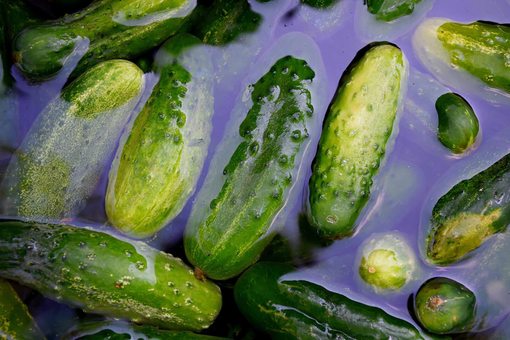 Why drinking water regularly is good for your health